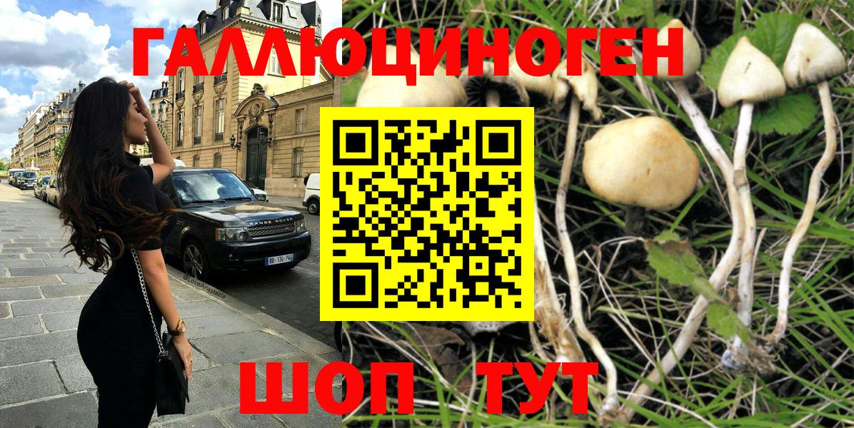 Ишим  Галлюциногенные грибы Magic Shrooms  Вход с VPN  Галлюциногенные грибы GOLDEN TEACHER 
