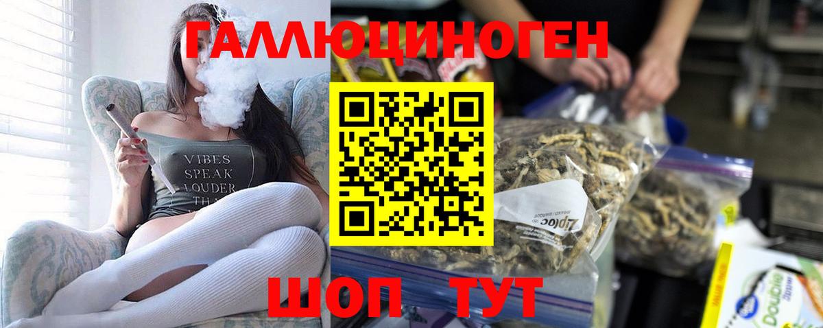 Псилоцибиновые грибы прущие грибы Ишим